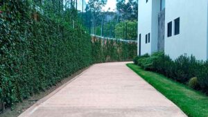 Proyecto el arco