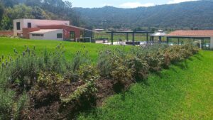 Proyecto el arco